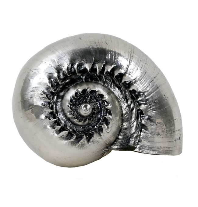 Sold at Auction: Buccellati sterling silver nautilus shell