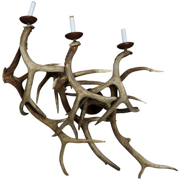 Antler Wall Sconces, Pair of Three-Light