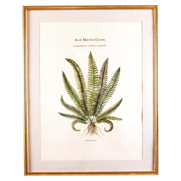 Original Vintage Custom Botanical Fern Prints with Makers Stamp